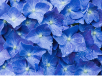 �C���[�W01