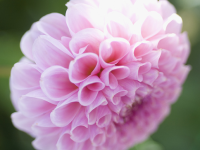 �C���[�W02