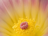 �C���[�W03